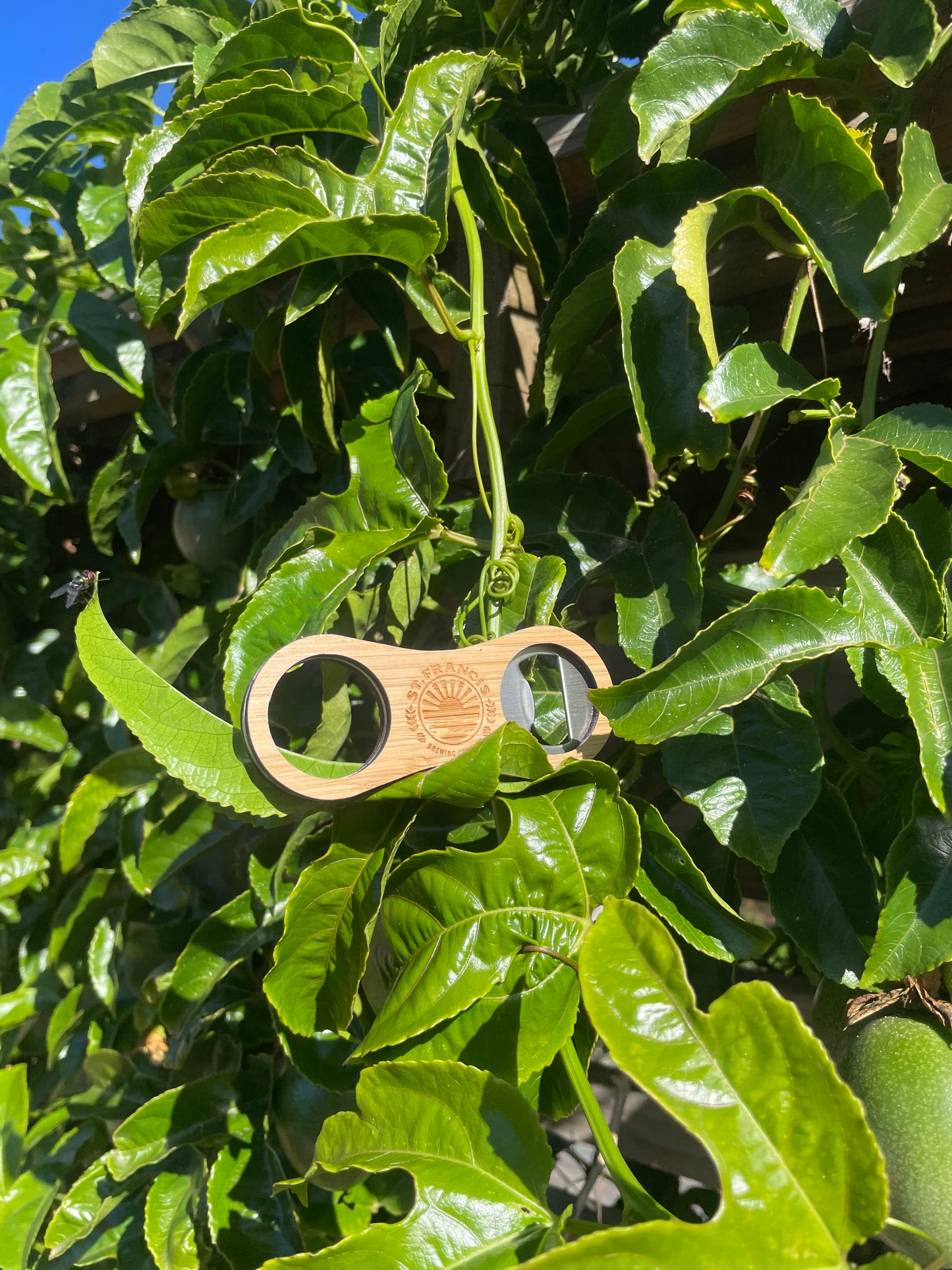 Bottle opener-bamboo